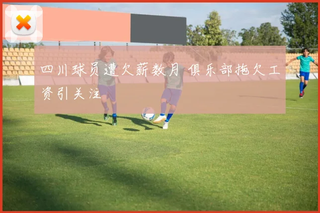 四川球员遭欠薪数月 俱乐部拖欠工资引关注
